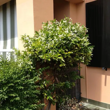 게스트하우스 Nonna Cecilia