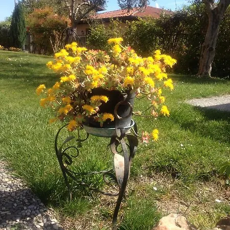 Nonna Cecilia 3* Пуэньяго