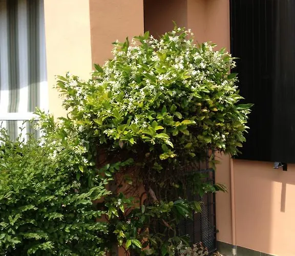 Gæstehus Nonna Cecilia